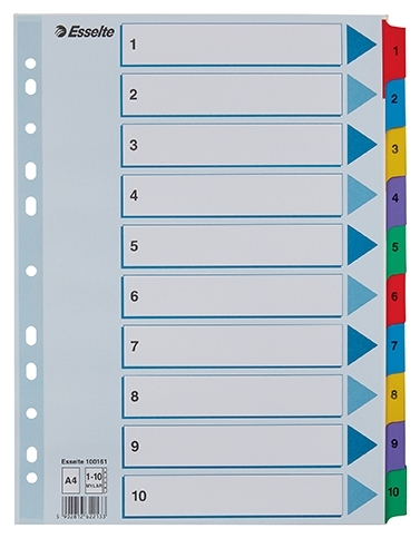 Esselte Register Mylar Carton A4 1-10