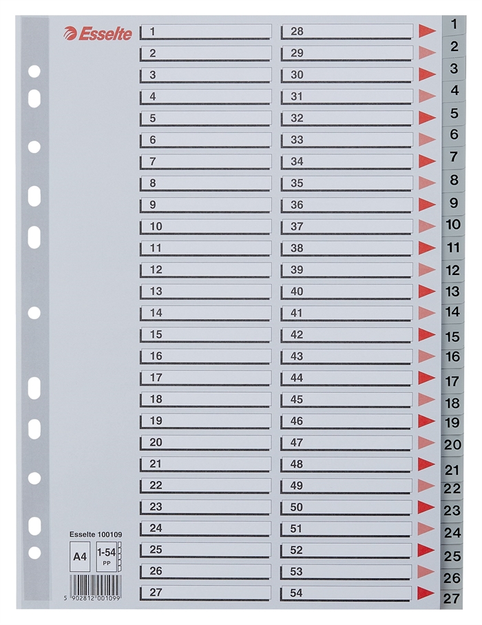 Esselte Register PP A4 1-54 Harmaa