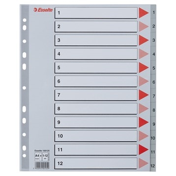 Esselte Register PP A4 Maxi 1-12 harmaa