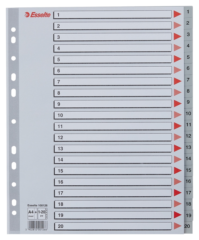 Esselte Register PP A4 Maxi 1-20 Harmaa