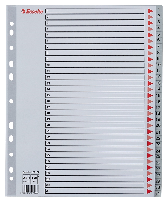 Esselte Register PP A4 Maxi 1-31 Harmaa