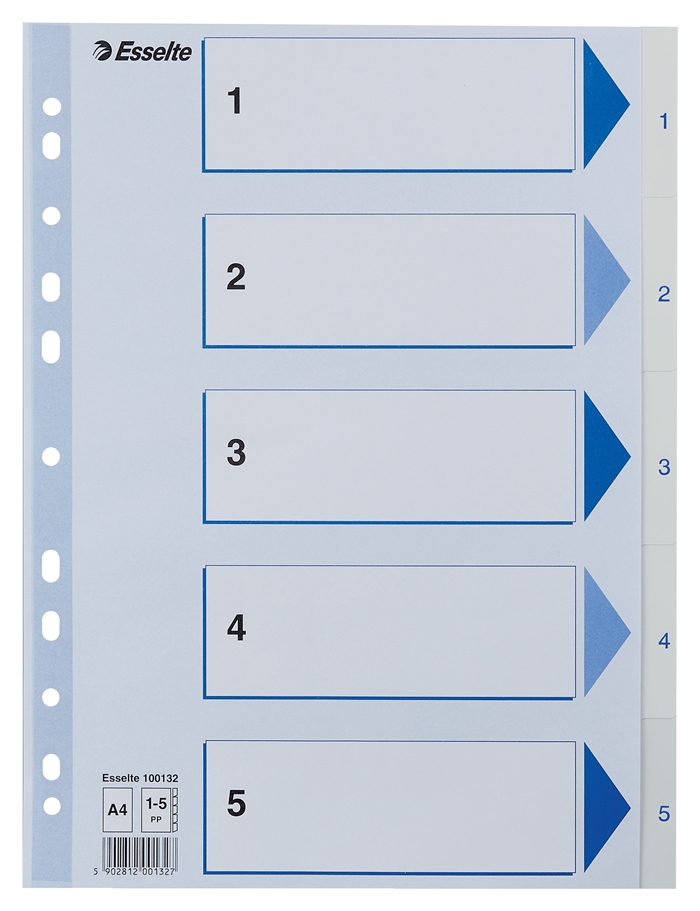 Esselte Register PP A4 1-5 valkoinen