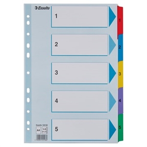 Esselte Register Mylar Carton A4 1-5