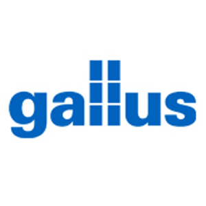 Gallus