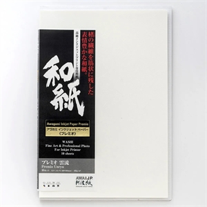 Awagami Premio Unryu - 165 g/m², 10 arkkia