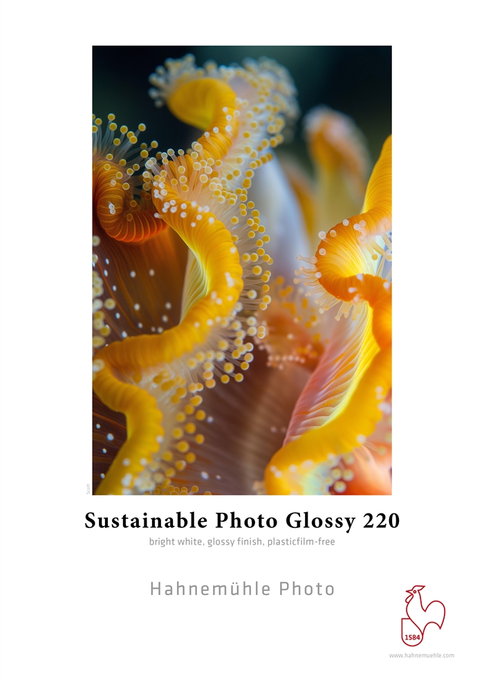 Hahnemühle Sustainable Photo Glossy 220 g/m² - A3+ 25 arkkia