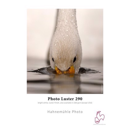 Hahnemühle Photo Luster 290 g/m² - 44" x 30 metriä