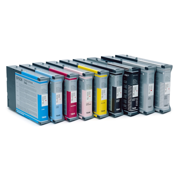 Epson Singlepack Photo Black T605100